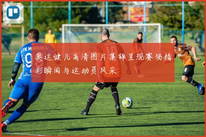 奥运健儿高清图片集锦呈现赛场精彩瞬间与运动员风采