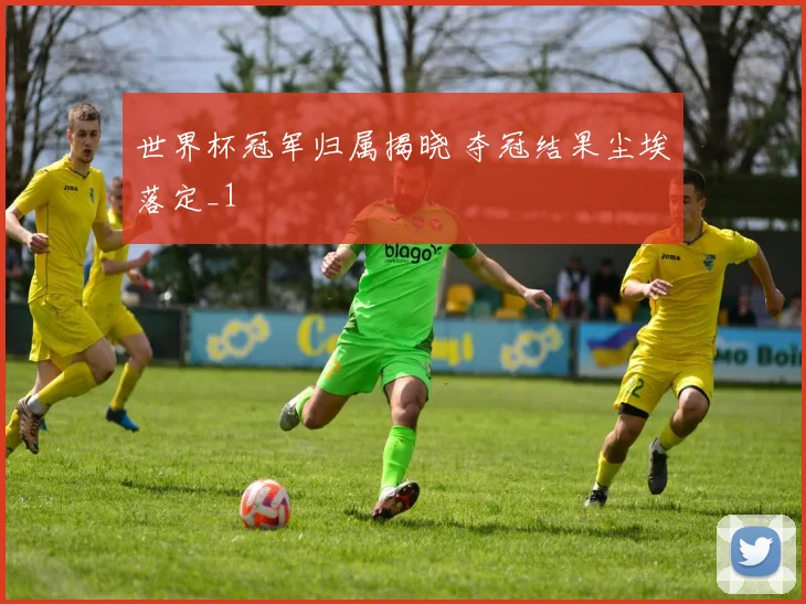世界杯冠军归属揭晓 夺冠结果尘埃落定_1