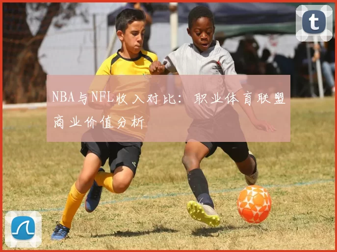NBA与NFL收入对比:职业体育联盟商业价值分析